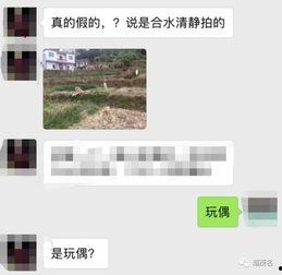 茂名真实爆料案件最新情况