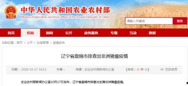 辽宁盘锦最新爆料,揭秘辽宁湿地生态奇迹背后的故事