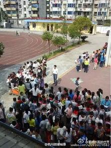 杭州小学最新爆料,揭秘校园里的那些事儿